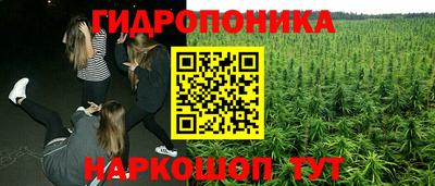дмт Лесосибирск