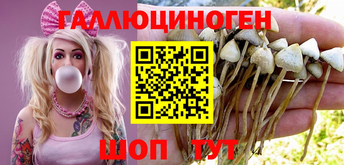 Псилоцибиновые грибы ЛСД Ессентуки