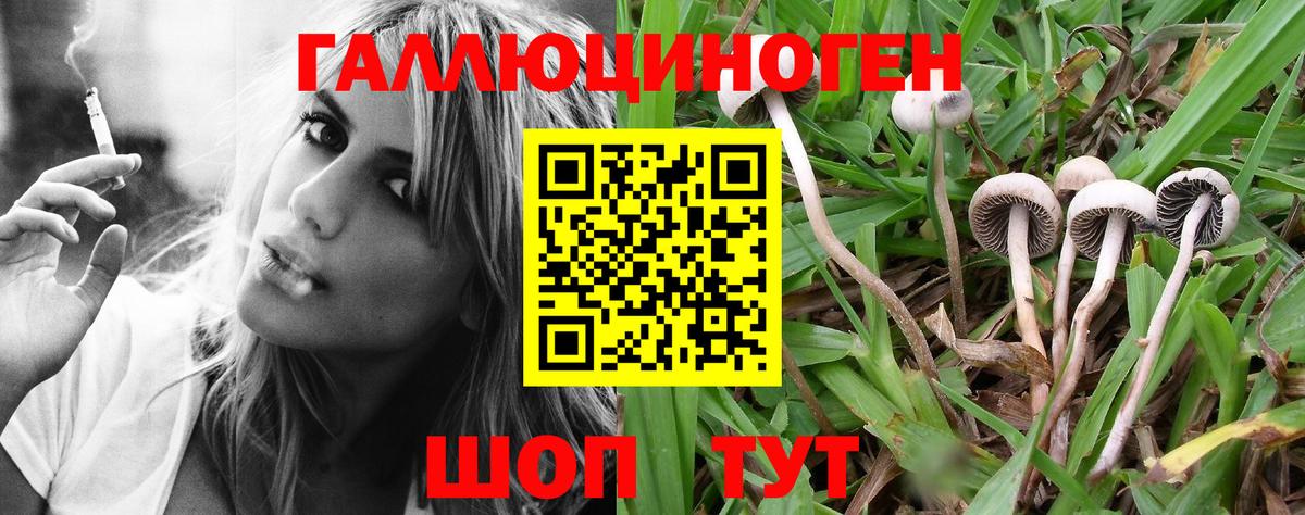 Ессентуки  Галлюциногенные грибы MAGIC MUSHROOMS  Вход с VPN 